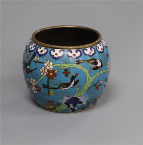 A Chinese cloisonne enamel water pot, Qing dynasty height 6cm